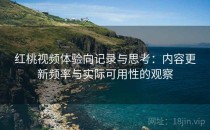 红桃视频体验向记录与思考：内容更新频率与实际可用性的观察