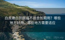 白虎嫩白到底适不适合长期用？哪些地方好用，哪些地方需要适应