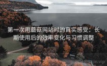 第一次用蘑菇网站时的真实感受：长期使用后的效率变化与习惯调整