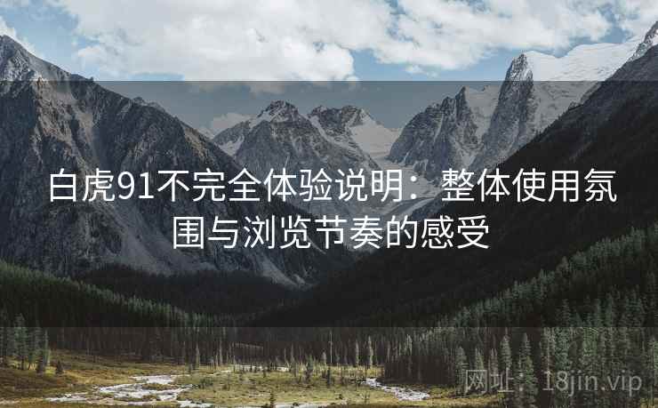 白虎91不完全体验说明:整体使用氛围与浏览节奏的感受 第1张 白虎91不完全体验说明:整体使用氛围与浏览节奏的感受 第1张