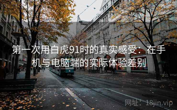 第一次用白虎91时的真实感受：在手机与电脑端的实际体验差别