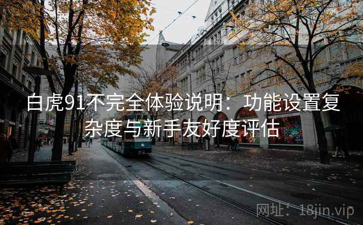 白虎91不完全体验说明：功能设置复杂度与新手友好度评估