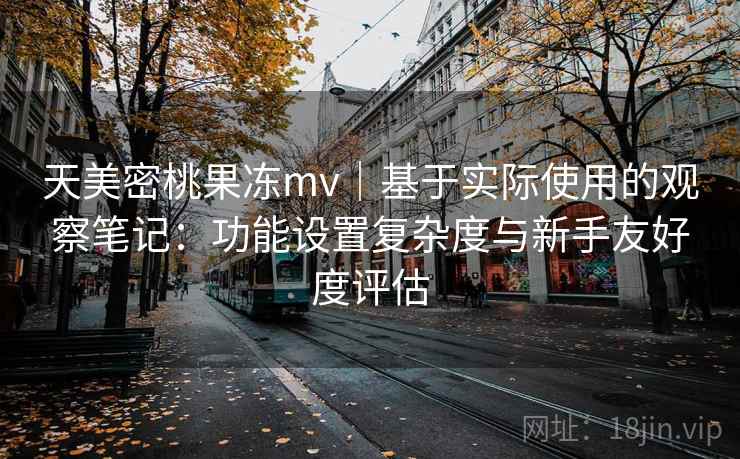 天美密桃果冻mv｜基于实际使用的观察笔记：功能设置复杂度与新手友好度评估