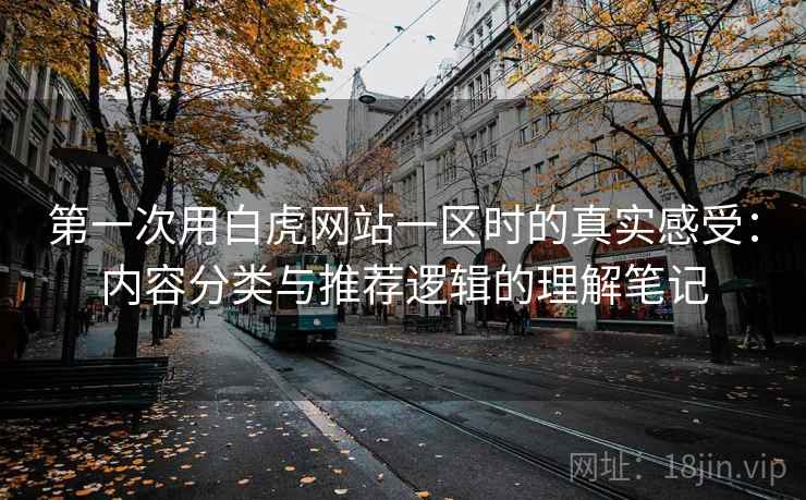 第一次用白虎网站一区时的真实感受：内容分类与推荐逻辑的理解笔记  第2张