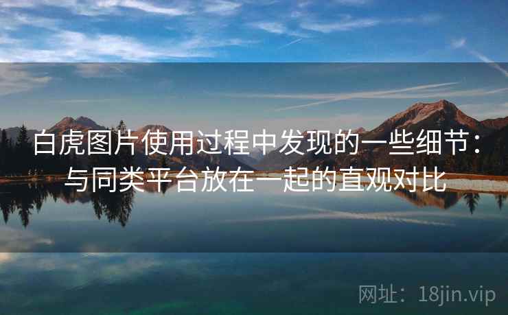 白虎图片使用过程中发现的一些细节：与同类平台放在一起的直观对比