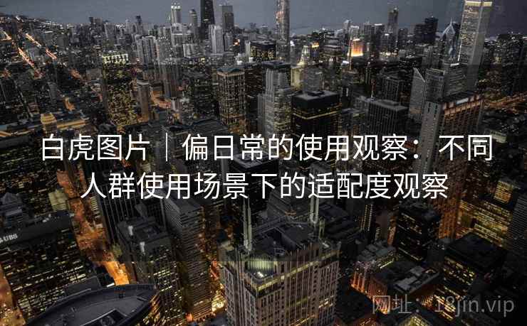 白虎图片|偏日常的使用观察:不同人群使用场景下的适配度观察 第2张 白虎图片|偏日常的使用观察:不同人群使用场景下的适配度观察 第2张