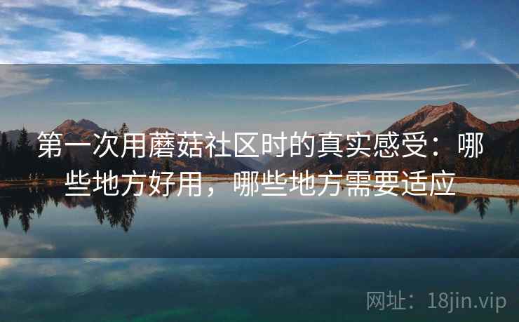 第一次用蘑菇社区时的真实感受:哪些地方好用,哪些地方需要适应 第2张 第一次用蘑菇社区时的真实感受:哪些地方好用,哪些地方需要适应 第2张