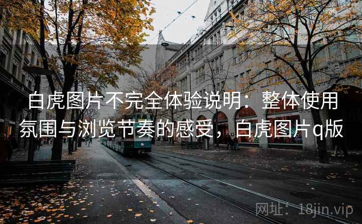 白虎图片不完全体验说明：整体使用氛围与浏览节奏的感受，白虎图片q版  第1张